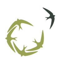 Roots and Journeys logo - Similar company to Outer Limits Travel & Tours