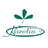 Karotin Kft logo - Similar company to Discovery Center