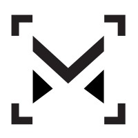 Mega Studios logo - Similar company to Dulsoft Limited