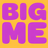 Big Me logo - Similar company to The Code