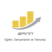 Spinn Consulting logo - Similar company to Eyelytics
