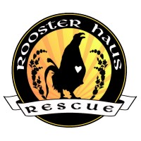 Rooster Haus Rescue