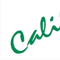 California Lighting Concepts logo - Similar company to Custom Contract Lighting