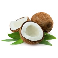 Ceylon Coconut logo - Similar company to Coconut Holidays
