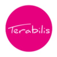 TERABILIS logo - Similar company to G & D Concepts