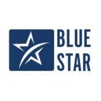 Bluestar Group UK logo - Similar company to Sudaksha Learnings