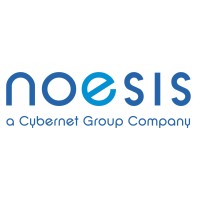 Noesis Solutions logo - Similar company to Hi-Engineer Be