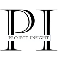 Project Insight logo - Similar company to Bridgeview
