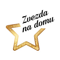 Zvezda na domu logo - Similar company to Daruma Code