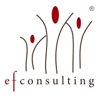 efconsulting - consultoria a empresa familiar logo - Similar company to Wide Shift