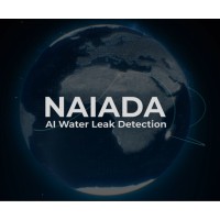 Naiada logo - Similar company to Infinitylabs Bulgaria