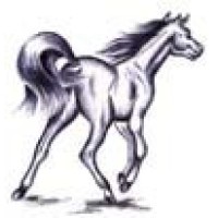 Equine Business Taxes logo - Similar company to Taxes Decoded, Inc.