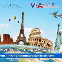 Visa Immigration Assist logo - Similar company to Elev8 Professionals