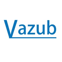 Vazub Instrument Factory logo - Similar company to Advanced Testing Instruments