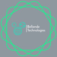 Bellande Technologies Corporation logo - Similar company to Fery Immobilier