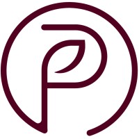 PAMT Jewellery & Lifestyles (I) Pvt Ltd logo - Similar company to Apaapi Threads Of Glory