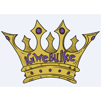 Igwebuike logo - Similar company to Tokenized Commodities Council