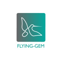 Flying-Gem Consulting logo - Similar company to Midiarack