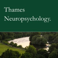 Thames Neuropsychology logo - Similar company to Insneuro Consultancy Services & Insneuro Cic Ltd