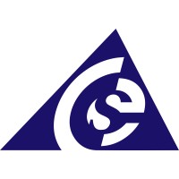 CSE Software Inc. logo - Similar company to Meshtek Llc