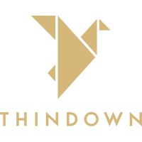Thindown logo - Similar company to Modesto Bertotto