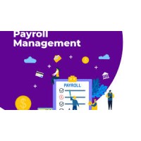 Payroll Management logo - Similar company to Payroll Management