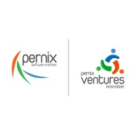 Pernix Solutions logo - Similar company to Paralleldevs