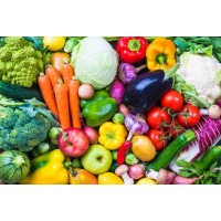 Fresh food in India logo - Similar company to Fresh Bakery