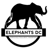 Elephants Dc