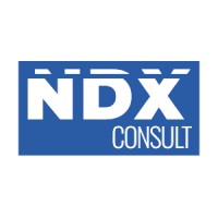 NDX Consult Limited logo - Similar company to Ndx