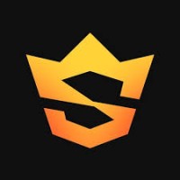 StatKing logo - Similar company to Mint