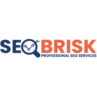 SEO BRISK logo - Similar company to Seo By Google
