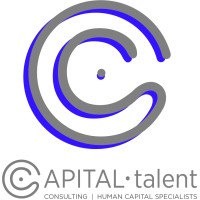 Capital Talent Consulting logo - Similar company to Afridigicom