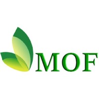 Managing Of Future Eng. Company (MOF) logo - Similar company to Wego 4.5G+