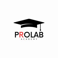 Prolab Academy logo - Similar company to Bloomi Soft