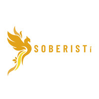 Soberisti logo - Similar company to Foxdo Oy