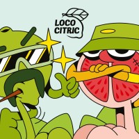 Loco Citric logo - Similar company to Rdb Communicatie