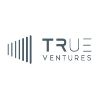 True Ventures Group logo - Similar company to Edk Network Consulting