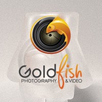 Goldfish Photography & Video logo - Similar company to Xact Digital Agency