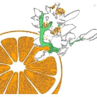 van de COO logo - Similar company to Beneai