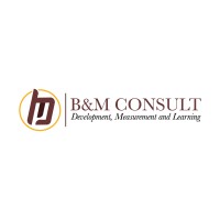 B&M Consult Ltd logo - Similar company to B & M Coaching And Consulting Llc