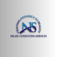 Nilasu Consulting Services Pvt. Ltd. logo - Similar company to Rah Consultancy Services