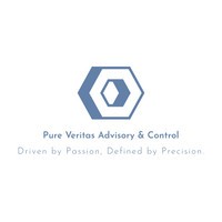 Pure Veritas Advisory & Control logo - Similar company to Prescience Corporation