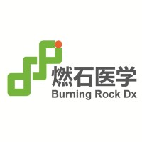 燃石医学 Burning Rock Biotech logo - Similar company to Einen