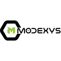 Motion Modexys Pvt Ltd logo - Similar company to Telgoo5 Inc