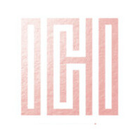 OCHO Partners logo - Similar company to Ghost Flower Inc.