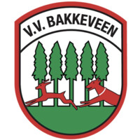 V.V. Bakkeveen logo - Similar company to Voetbalontwikkeling.Nl