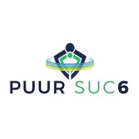 Puursuc6 logo - Similar company to Van Campen Consulting