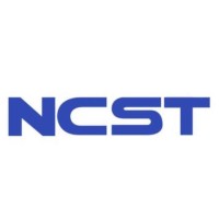 纳芯半导体科技（浙江）有限公司 logo - Similar company to 上海集成电路研发中心有限公司