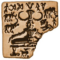 Nature Conservation Foundation logo - Similar company to The Shola Trust